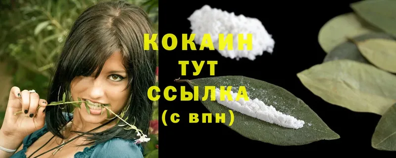 как найти закладки  Ершов  COCAIN Fish Scale 