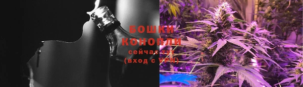 шишки Братск