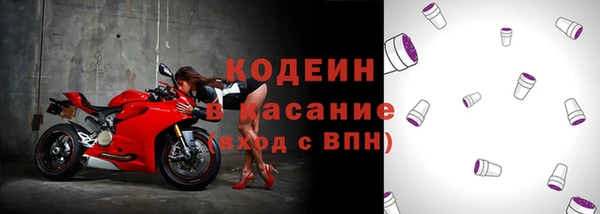 шишки Братск