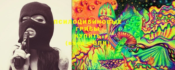 шишки Братск