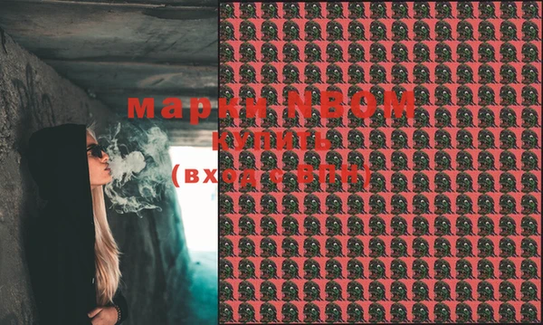 шишки Братск