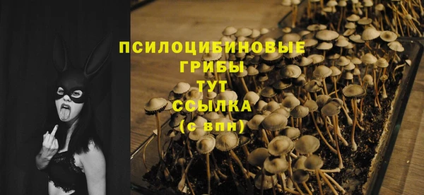 экстази Великий Новгород