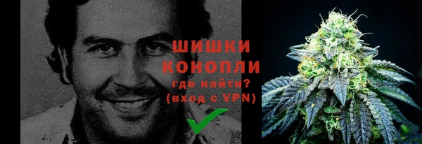 шишки Братск