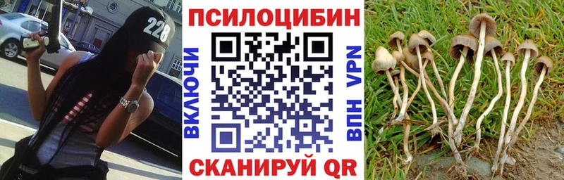 Галлюциногенные грибы мицелий  mega маркетплейс  Ершов 